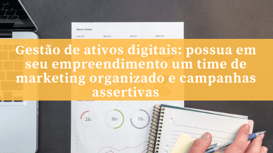 Gestão de ativos digitais: possua em seu empreendimento um time de marketing organizado e campanhas assertivas
