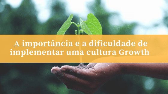A importância e a dificuldade de implementar uma cultura Growth